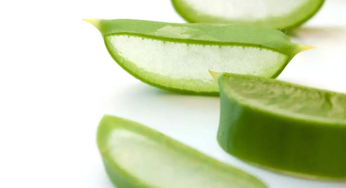masque-visage-aloe-vera