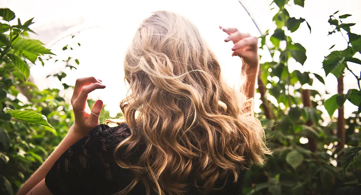cheveux-aloe-vera