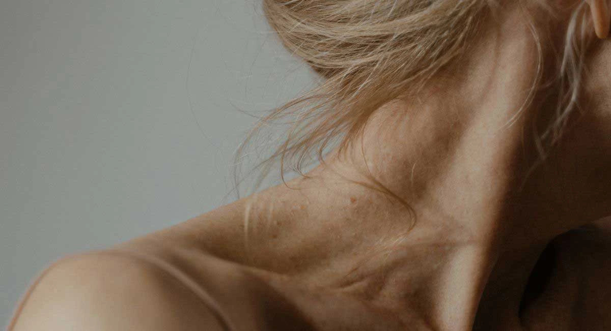 header-aloe-vera-rides