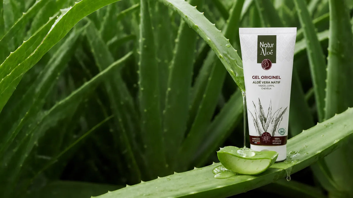 Soin Aloé Vera bio NaturAloé