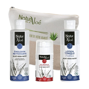 Routine Visage Anti-Imperfections - 3 produits cosmétiques – NaturAloé