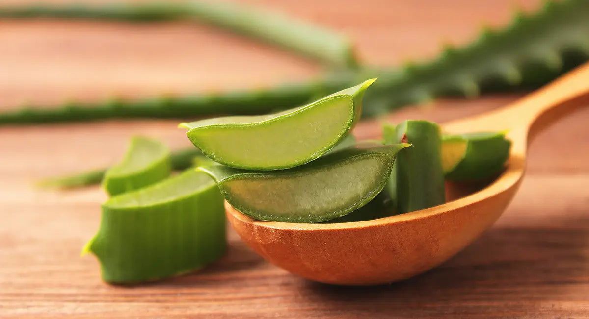 aloe-vera-constipation