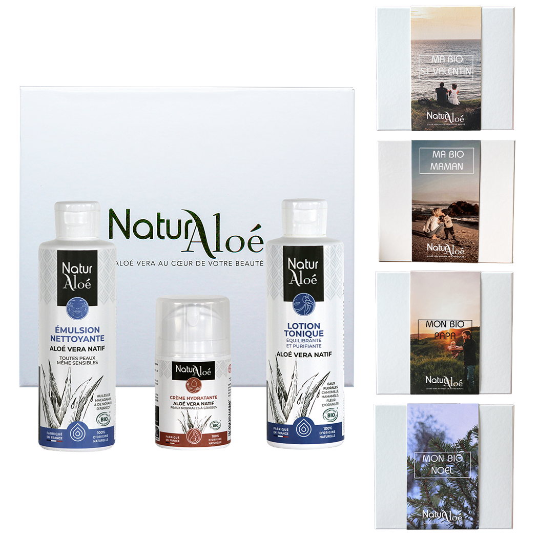 Routine visage peaux mixtes