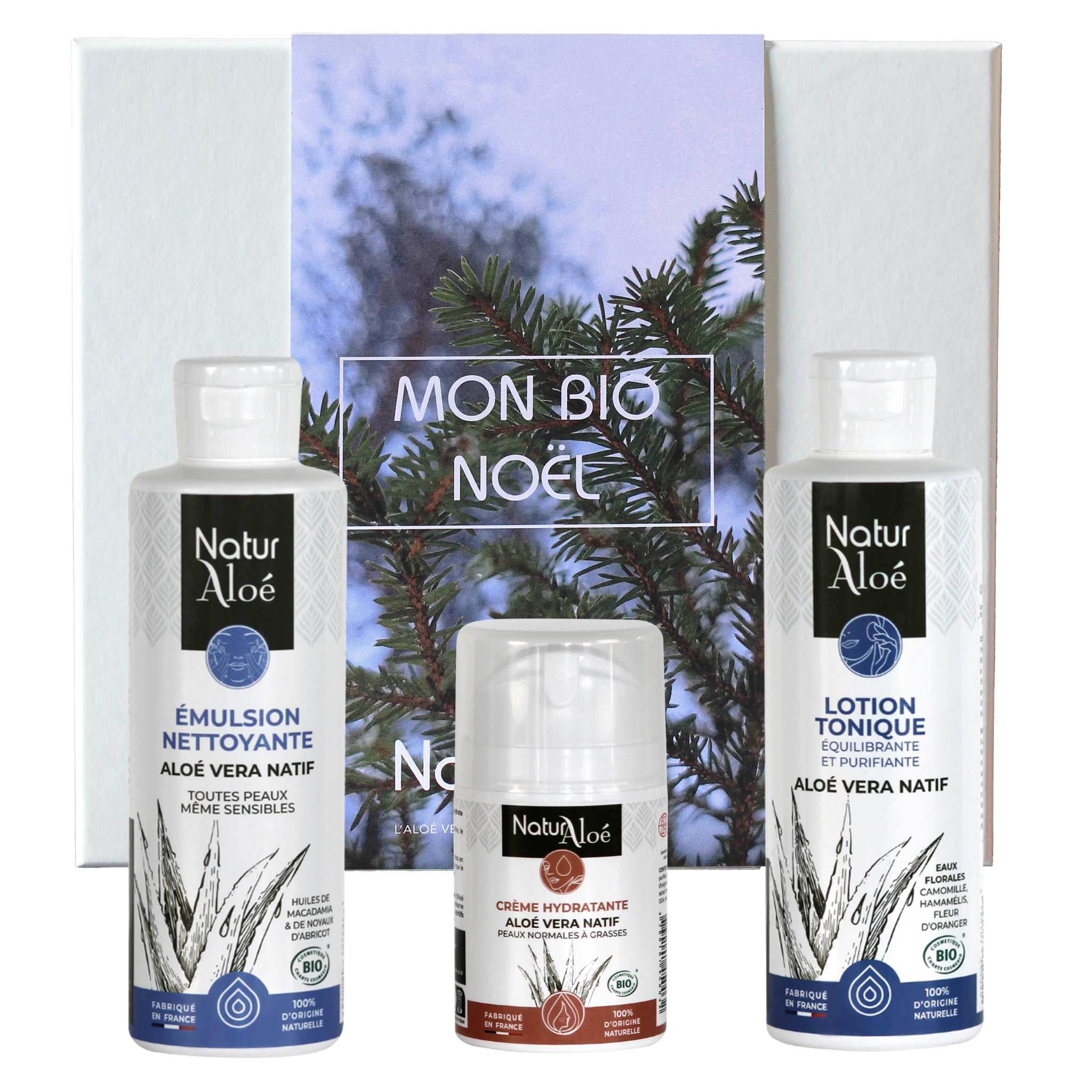 Routine visage peaux mixtes