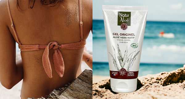 Découvrez les bienfaits de l'Aloe Vera avec Naturaloé – NaturAloé