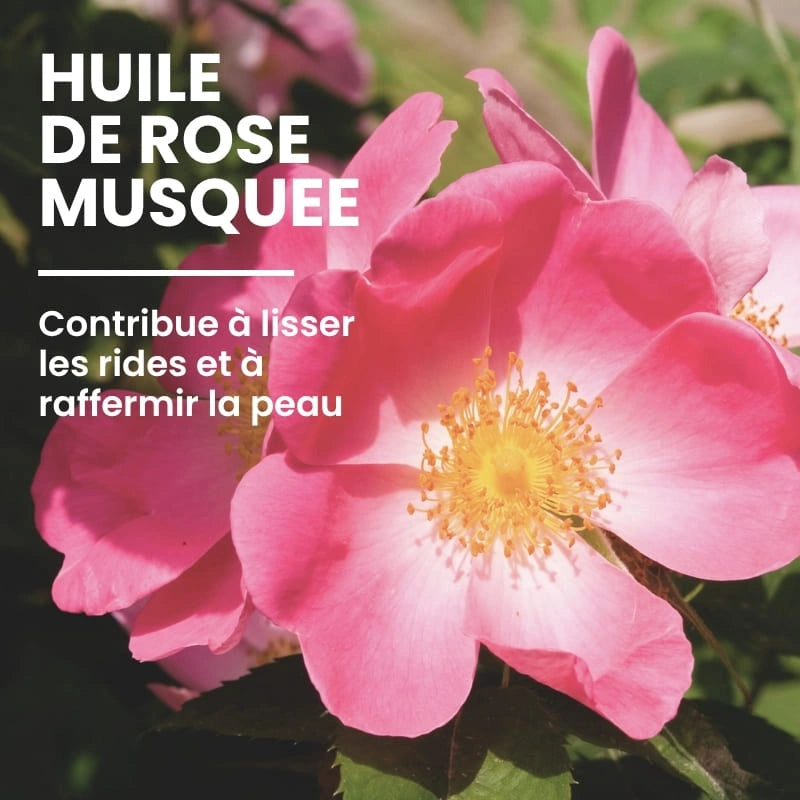 Huile végétale nourrissante de la crème anti-rides - NaturAloé