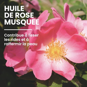 Huile végétale nourrissante de la crème anti-rides - NaturAloé