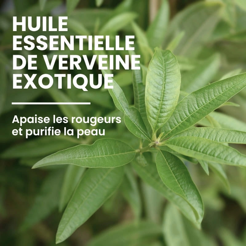 Huile végétale nourrissante de la crème hydratante visage - NaturAloé