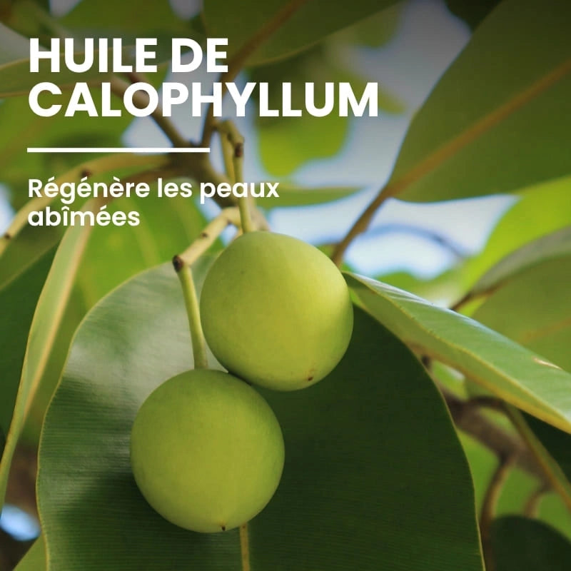 Formule naturelle crème hydratante riche en actifs hydratants - NaturAloé