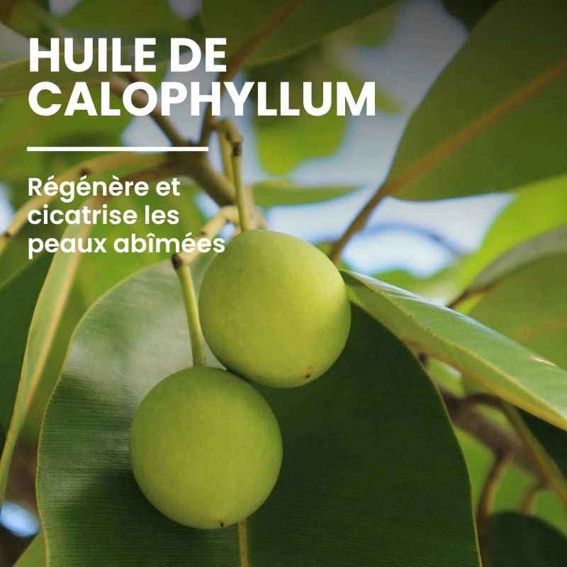 Huile végétale hydratante pour le soin des pieds - NaturAloé