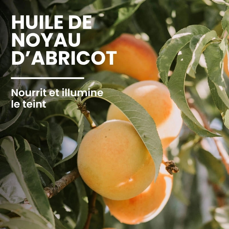 Huile d’abricot nourrissante de l’émulsion nettoyante - NaturAloé