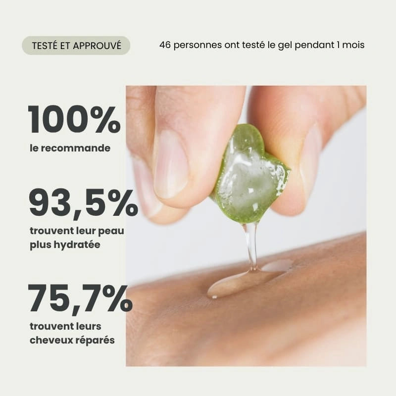 Gel Originel d'Aloé Vera Bio - Testé et approuvé - NaturAloé