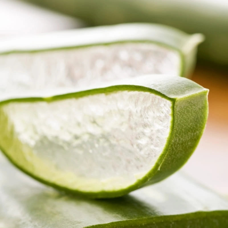 Gel d’Aloé Vera à boire – feuille fraîche coupée – NaturAloé