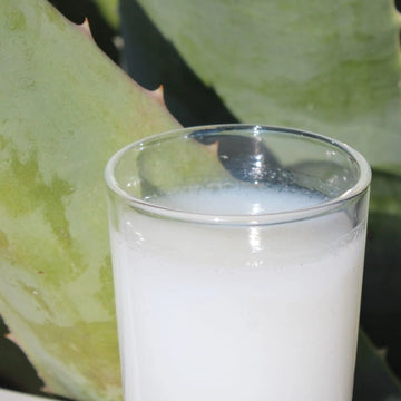 Gel d’Aloé Vera Bio à boire – texture dans un verre – NaturAloé