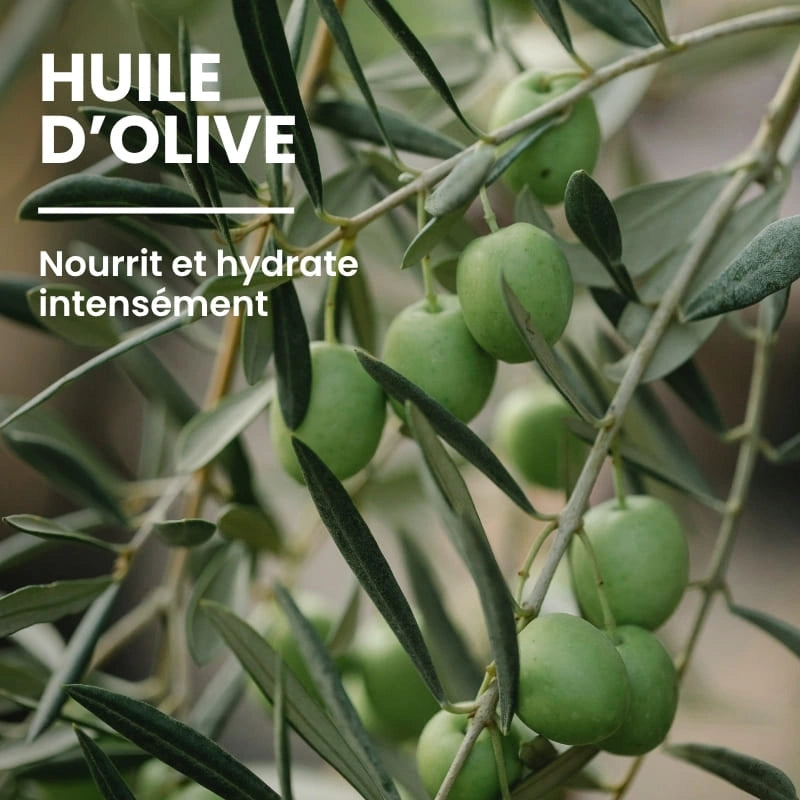 Huile d'olive dans le gel douche soin - NaturAloé