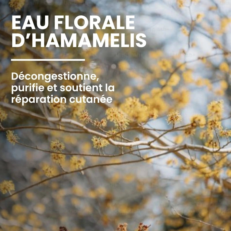 Extrait de plante apaisante dans le gel multi-actions - NaturAloé