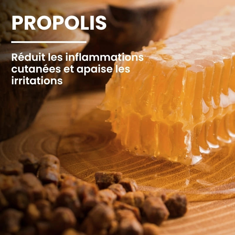 Ingrédient Propolis bio utilisé dans le gel à l'Aloé Vera - NaturAloé
