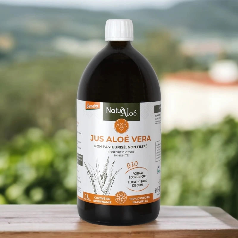 Jus d’Aloé Vera Bio 1L posé en extérieur dans un décor naturel – NaturAloé