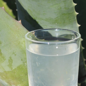 Jus d’Aloé Vera Bio versé dans un verre – boisson santé – NaturAloé