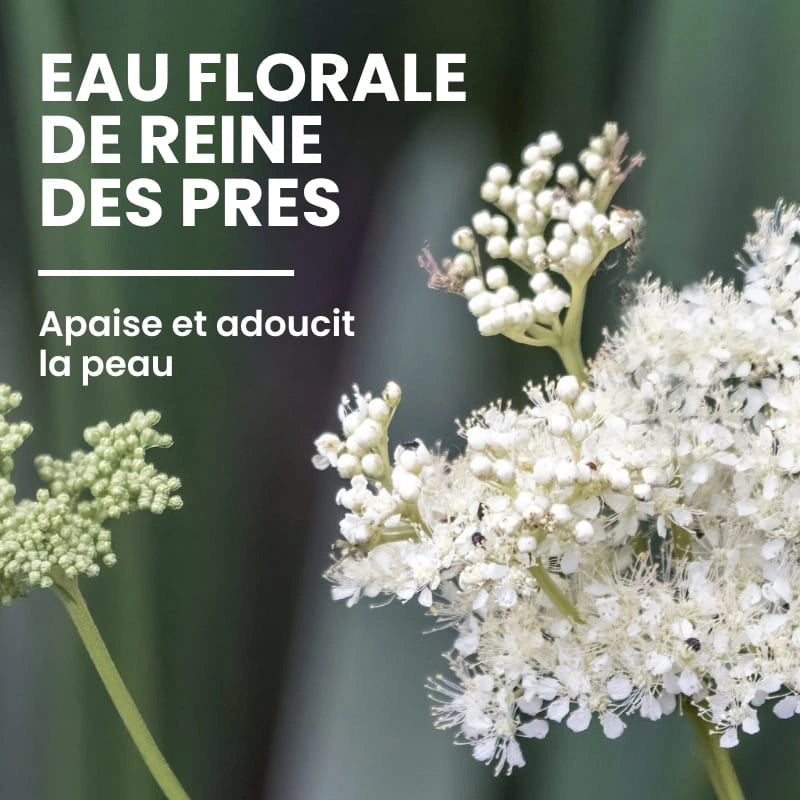 Ingrédient naturel du lait corps bio - NaturAloé