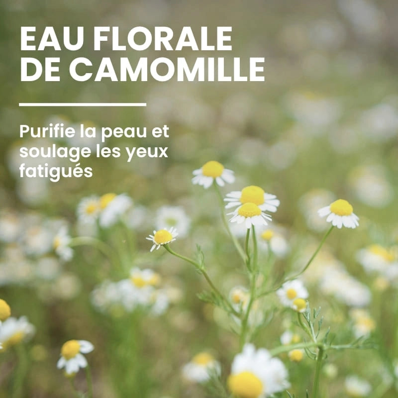 Formule naturelle et douce de la lotion tonique visage - NaturAloé