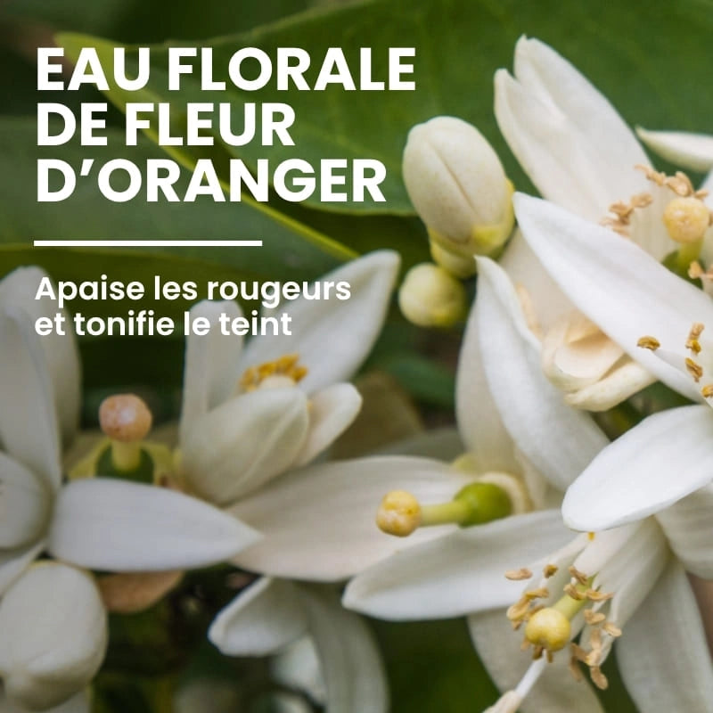 Eau florale naturelle composant la lotion tonique - NaturAloé