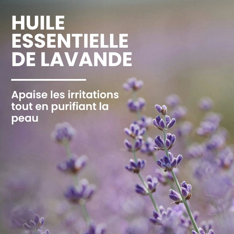 Lavande ingrédient soin tonique hydratant - NaturAloé