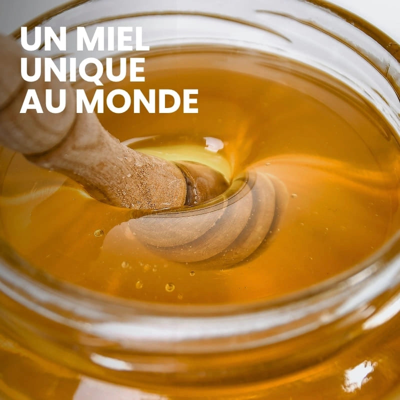 Miel d’Aloé Vera Bio – texture fondante sur une cuillère – NaturAloé