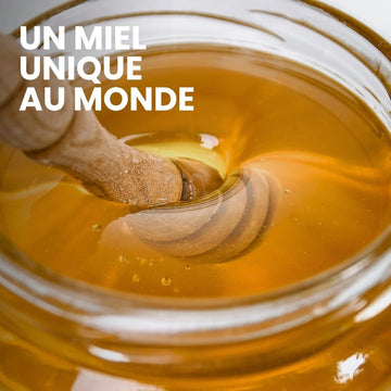Miel d’Aloé Vera Bio – texture fondante sur une cuillère – NaturAloé