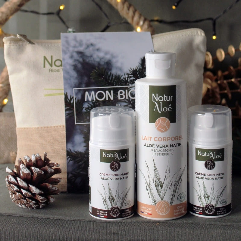 Coffret cadeau Noël routine cosmétique hivernale Aloé Vera Bio - NaturAloé