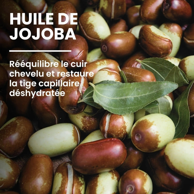 Huile de jojoba – ingrédient rééquilibrant du shampoing soin - Naturaloé