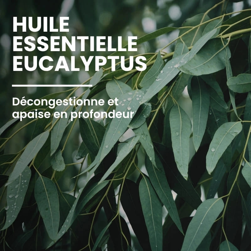 Formule naturelle aux actifs chauffants et apaisants - NaturAloé