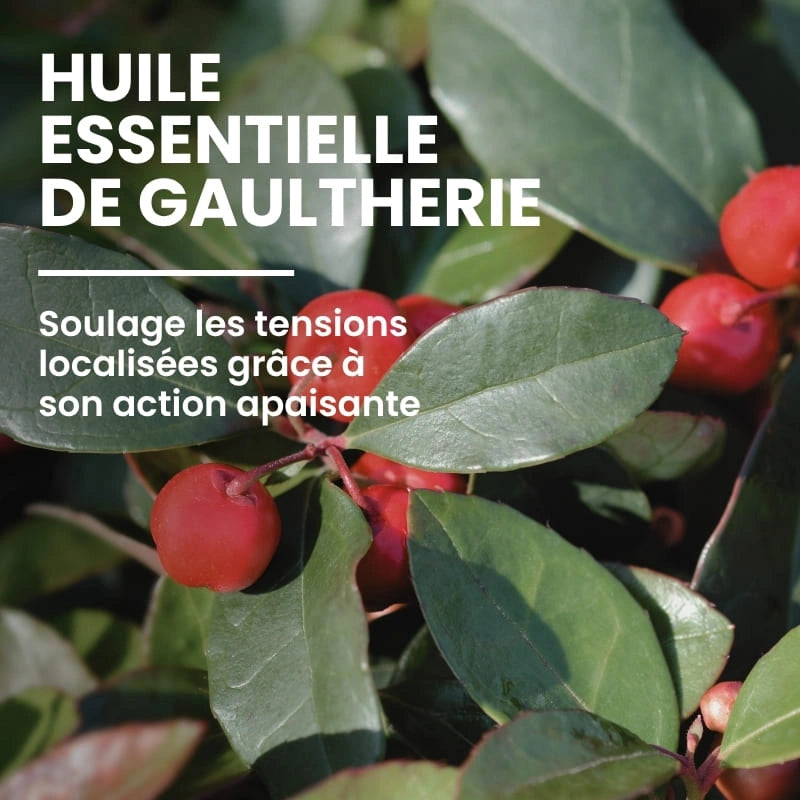 Extrait de plante apaisant du ThermoGel - NaturAloé