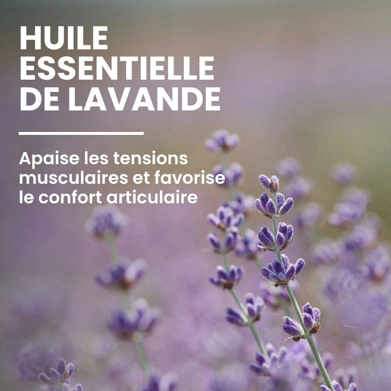 Ingrédient aloé vera bio apaisant dans le ThermoGel - NaturAloé