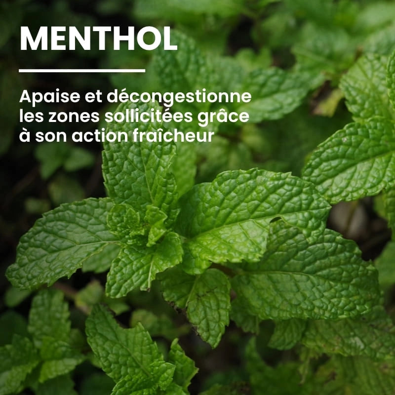 Huile essentielle de menthol rafraîchissante du ThermoGel - NaturAloé